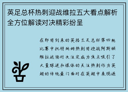 英足总杯热刺迎战维拉五大看点解析全方位解读对决精彩纷呈 英足总杯热刺迎战维拉五大看点解析全方位解读对决精彩纷呈